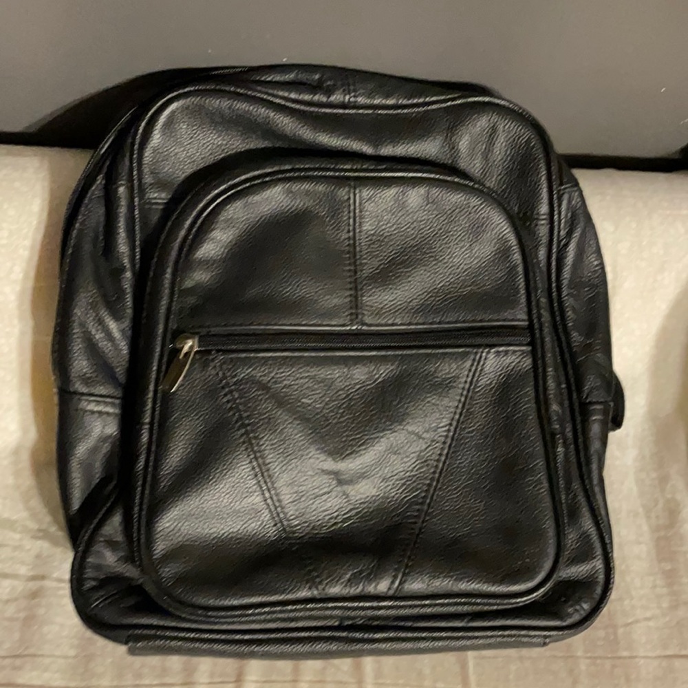 Backpack/Purse
